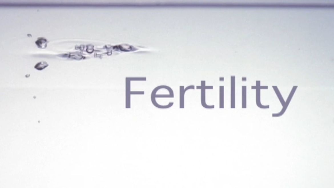 Natural Fertility Los Angeles Acupuncture And Wellness Infertility